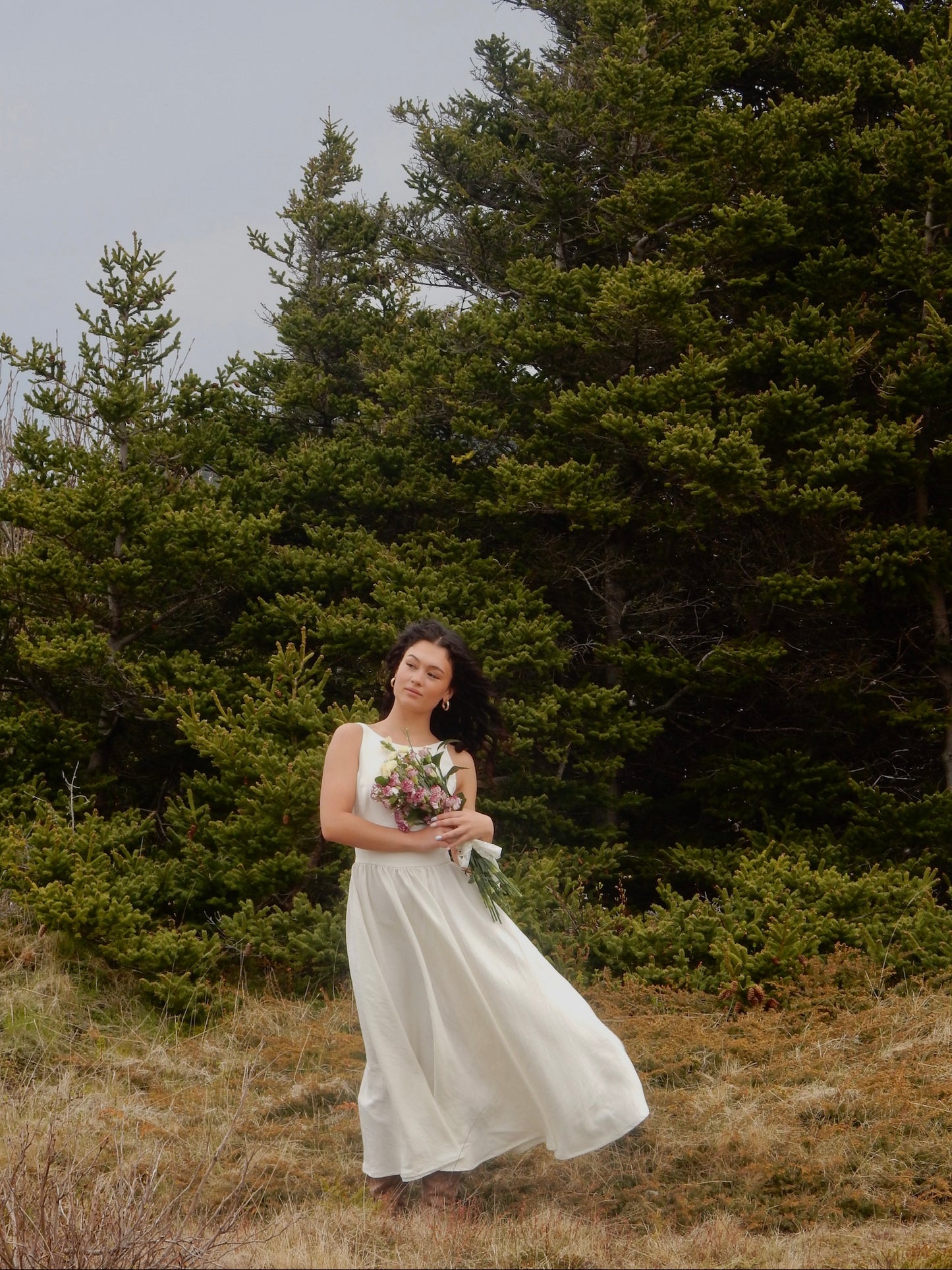 The Wren Dress